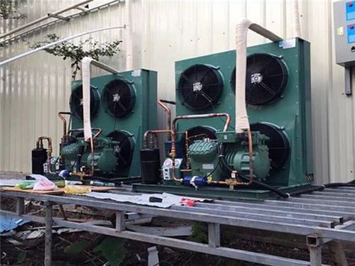 荔灣區冷庫工廠直營 健康為首，兼顧專業維修培訓服務